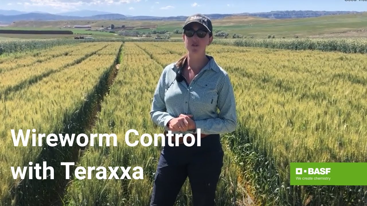 Reddy Anna ID – Understanding Its Role, Benefits, and Connection to the Reddy Book Club